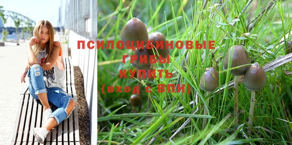 спиды Заволжск